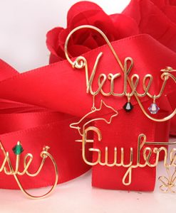 Personalized wire name pin