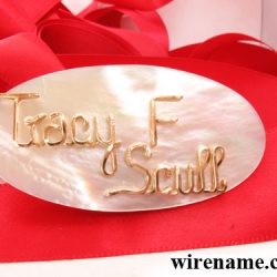 Mother of Pearl Brooch, Lapel Pin, personalized wire Jewelry Mother of Pearl Brooch, Lapel Pin, personalized wire Jewelry